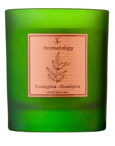 Eucalyptus Candle - Imagen 2